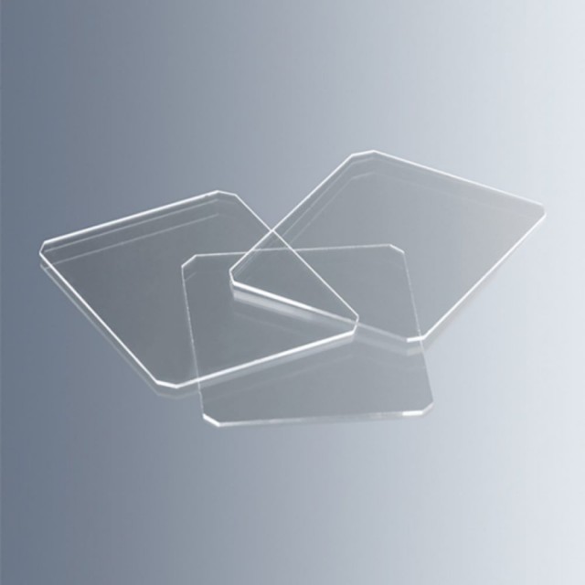 Forcountingchamber 1